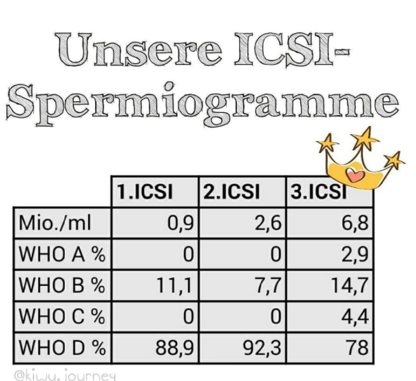 Spermiogramm mit Vitaminen