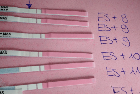 Schwangerschafts Orakel mit Ovulationstest