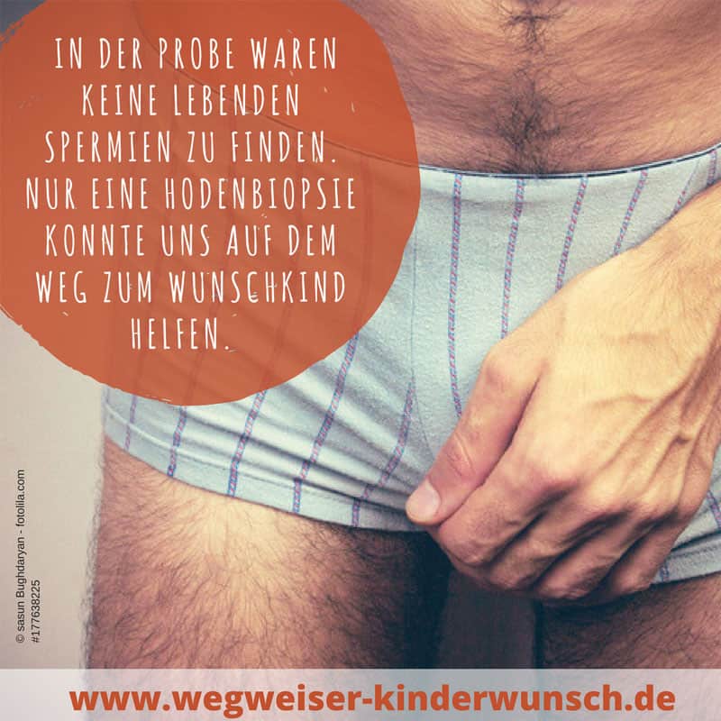 Hodenbiopsie TESE Hodenbiospsie TESE