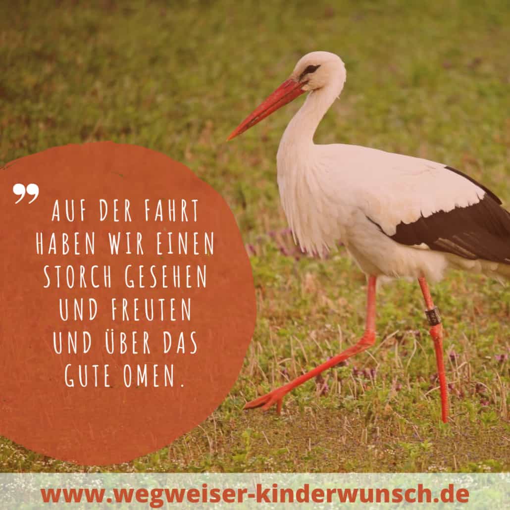 Storch Kinderwunsch