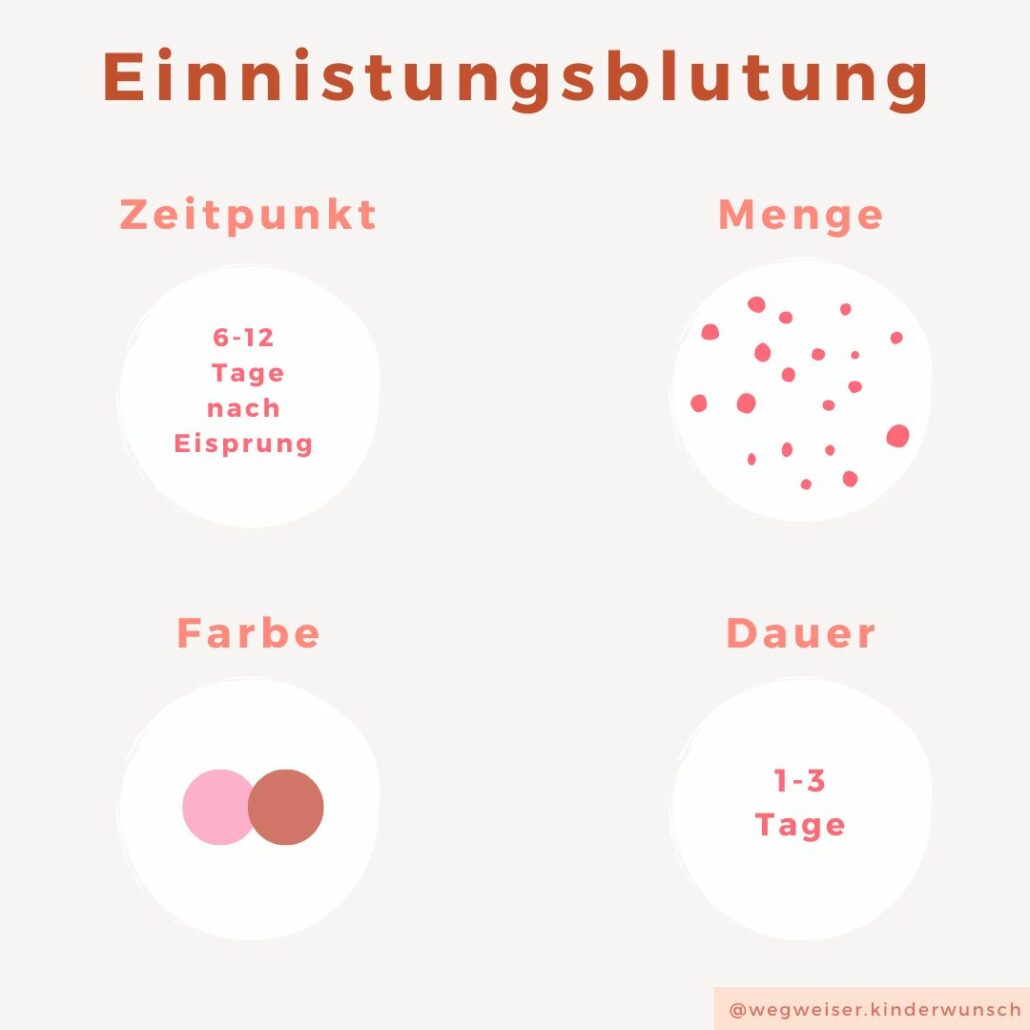 Einnistungsblutung Merkmale