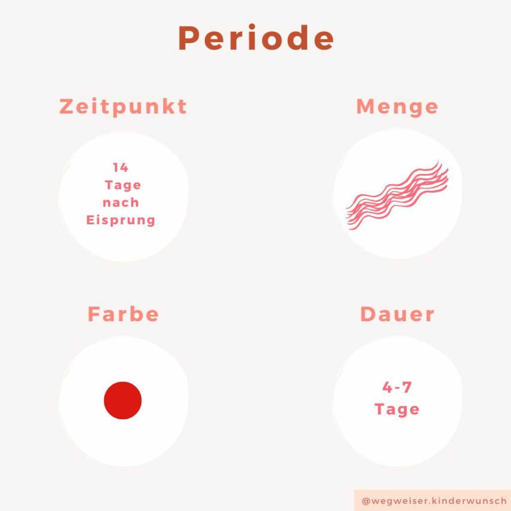 Periodenblutung Merkmale