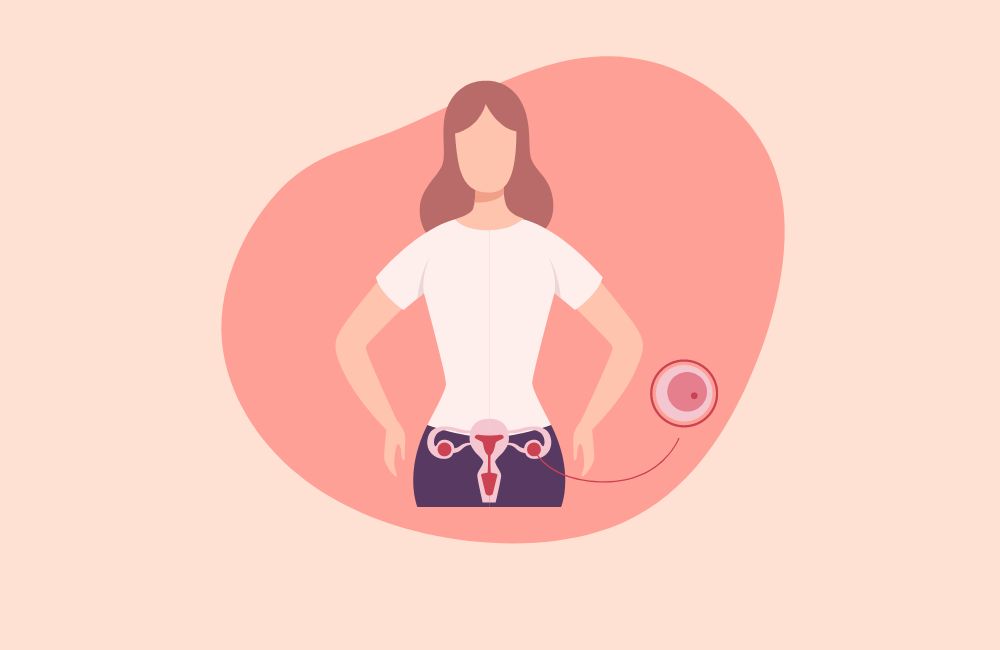 Eizellspende Spanien